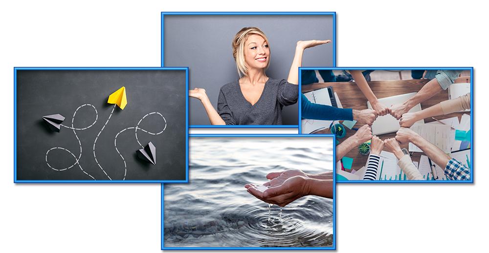 Free Swimming1 Logo Evaluation