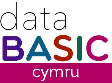 data basics logo Databasics